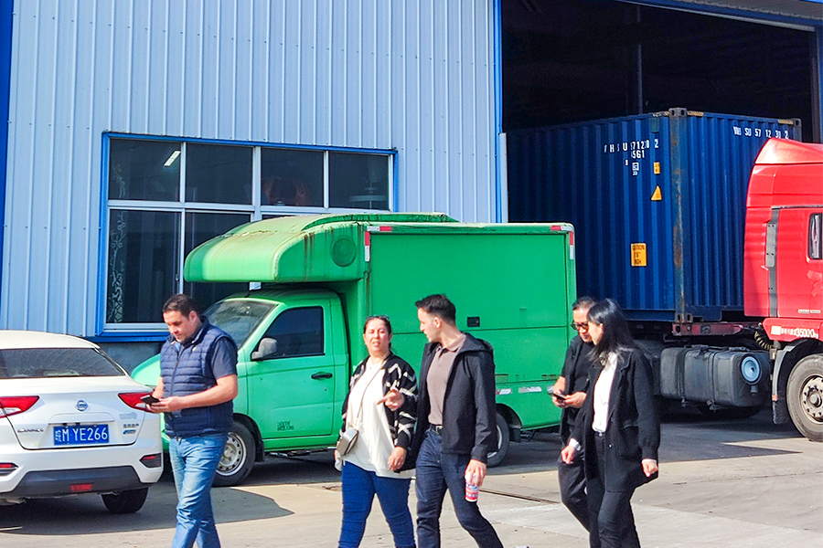 Visita del cliente-Romania
